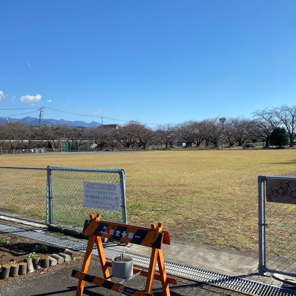 実際訪問したユーザーが直接撮影して投稿した厚原野球場厚原スポーツ公園 野球場の写真