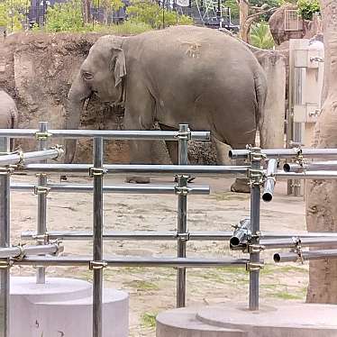 東山動植物園のundefinedに実際訪問訪問したユーザーunknownさんが新しく投稿した新着口コミの写真