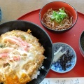 かに玉丼 - 実際訪問したユーザーが直接撮影して投稿した三国町米ケ脇魚介 / 海鮮料理潮騒の館 やし楼の写真のメニュー情報