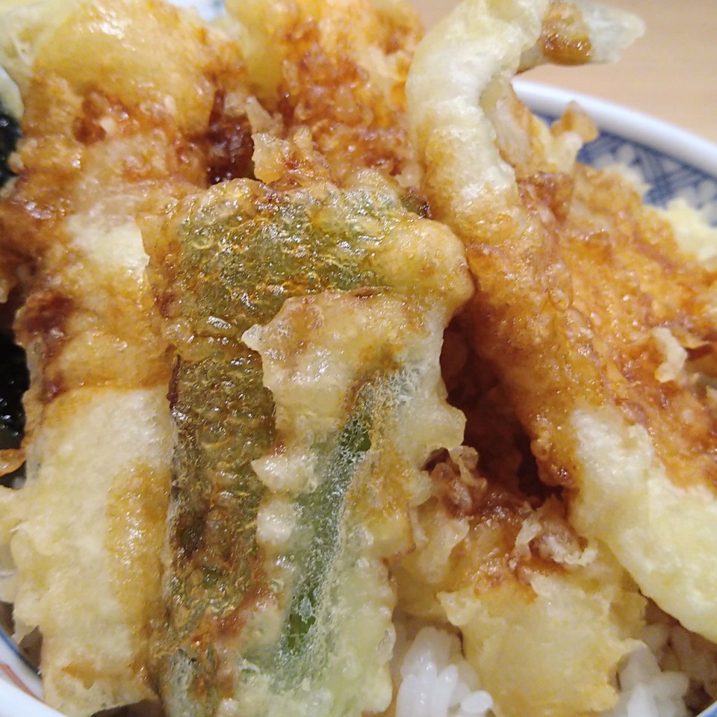 ユーザーが投稿した天丼の写真 - 実際訪問したユーザーが直接撮影して投稿した牧野町天ぷら多呂衛門 豊川店の写真