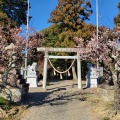 実際訪問したユーザーが直接撮影して投稿した国分町神社菅原神社の写真