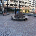実際訪問したユーザーが直接撮影して投稿した北新宿公園新宿区立柏木どんぐり公園の写真