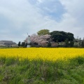 実際訪問したユーザーが直接撮影して投稿した土呂町公園見晴公園の写真