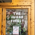 実際訪問したユーザーが直接撮影して投稿した高円寺南スイーツTHE SUGAR FORESTの写真