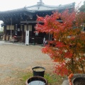 実際訪問したユーザーが直接撮影して投稿した大安寺寺大安寺の写真