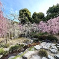 実際訪問したユーザーが直接撮影して投稿した中島鳥羽離宮町神社城南宮の写真