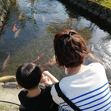 実際訪問したユーザーが直接撮影して投稿した金山公園大堰公園の写真