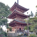 実際訪問したユーザーが直接撮影して投稿した甚目寺寺甚目寺の写真