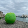 実際訪問したユーザーが直接撮影して投稿した脇浜海岸通地域名所青りんごモニュメントの写真