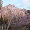 実際訪問したユーザーが直接撮影して投稿した春日野町神社氷室神社の写真