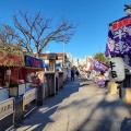 実際訪問したユーザーが直接撮影して投稿した富岡神社富岡八幡宮の写真