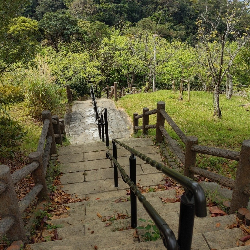 実際訪問したユーザーが直接撮影して投稿した名護公園名護城公園 さくらの園の写真