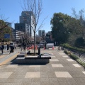 実際訪問したユーザーが直接撮影して投稿した九段南公園千代田区立九段坂公園の写真