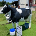 牛乳 - 実際訪問したユーザーが直接撮影して投稿した中野町アイスクリーム函館牛乳 あいす118の写真のメニュー情報