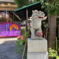 実際訪問したユーザーが直接撮影して投稿した菊名神社菊名神社の写真