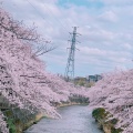 実際訪問したユーザーが直接撮影して投稿した南成瀬ファミリーレストラン夢庵 町田南成瀬店の写真