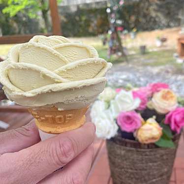 実際訪問したユーザーが直接撮影して投稿した湯温海植物園 / 樹木園あつみ温泉ばら園の写真