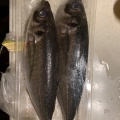 実際訪問したユーザーが直接撮影して投稿した天沼鮮魚 / 海産物店鈴木水産 ららぽーと湘南平塚店の写真