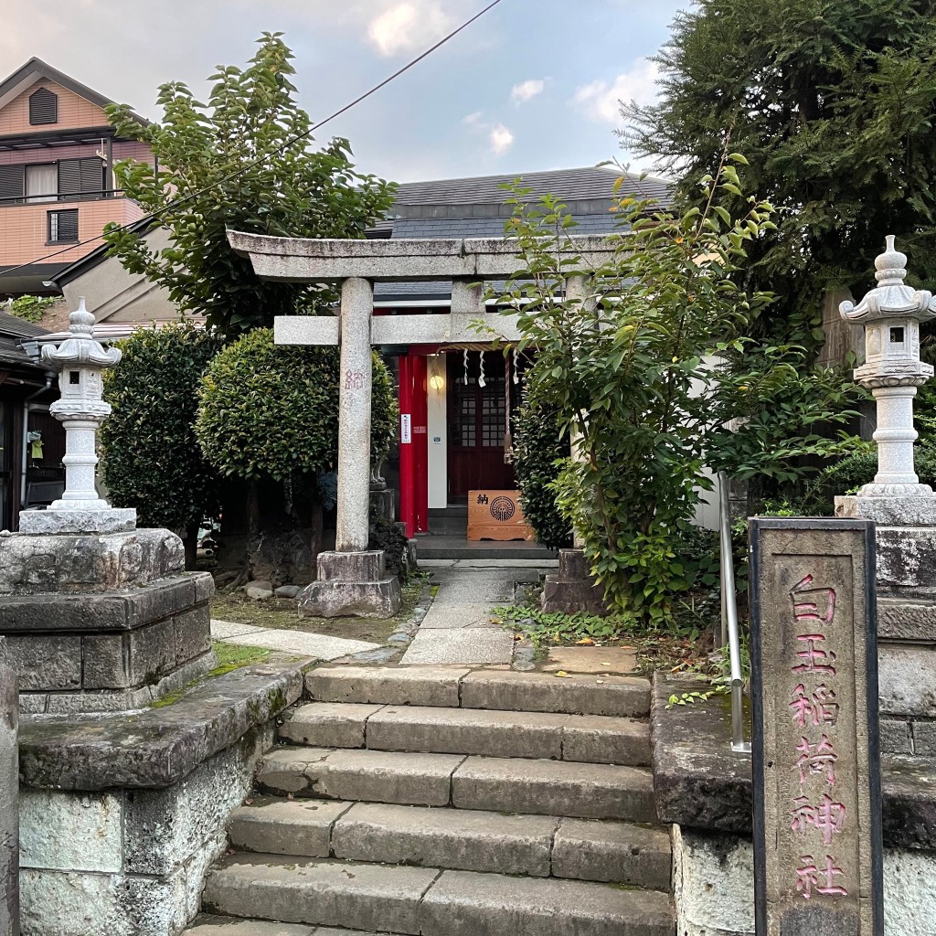 実際訪問したユーザーが直接撮影して投稿した中央神社白玉稲荷神社の写真