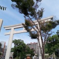 実際訪問したユーザーが直接撮影して投稿した照国町神社照国神社の写真