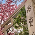 実際訪問したユーザーが直接撮影して投稿した蔵前神社蔵前神社の写真