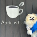 実際訪問したユーザーが直接撮影して投稿した程久保カフェApricus Cafeの写真