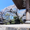 実際訪問したユーザーが直接撮影して投稿した犬山寺圓明寺の写真