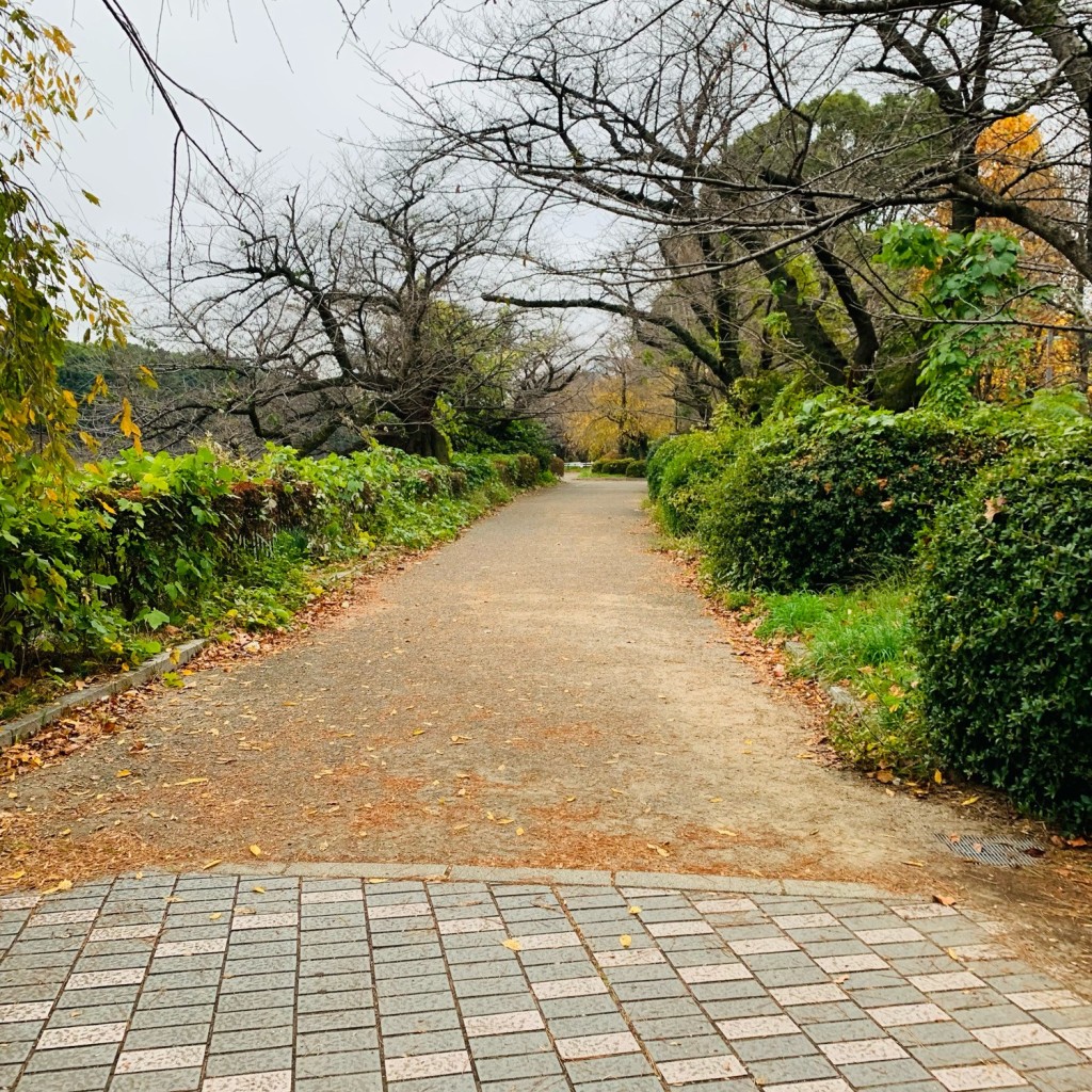 実際訪問したユーザーが直接撮影して投稿した一番町公園千代田区立千鳥ヶ淵公園(西側)の写真