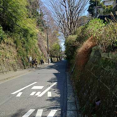 実際訪問したユーザーが直接撮影して投稿した歴史 / 遺跡極楽寺切通しの写真