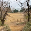 実際訪問したユーザーが直接撮影して投稿した宮崎公園宮崎第一公園の写真