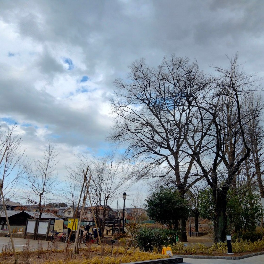 実際訪問したユーザーが直接撮影して投稿した谷戸町公園谷戸せせらぎ公園の写真