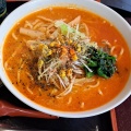 実際訪問したユーザーが直接撮影して投稿した村崎野ラーメン / つけ麺味噌家 がんこ亭の写真