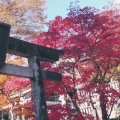 実際訪問したユーザーが直接撮影して投稿した草久神社古峯神社の写真