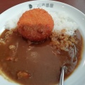 実際訪問したユーザーが直接撮影して投稿したカレーカレーハウスCoCo壱番屋 羽島竹鼻町店の写真