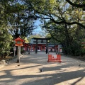 実際訪問したユーザーが直接撮影して投稿した住吉神社住吉神社の写真