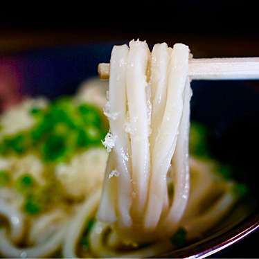 実際訪問したユーザーが直接撮影して投稿した中野町うどん松下製麺所の写真