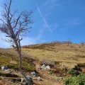 実際訪問したユーザーが直接撮影して投稿した山 / 峠藤原岳の写真