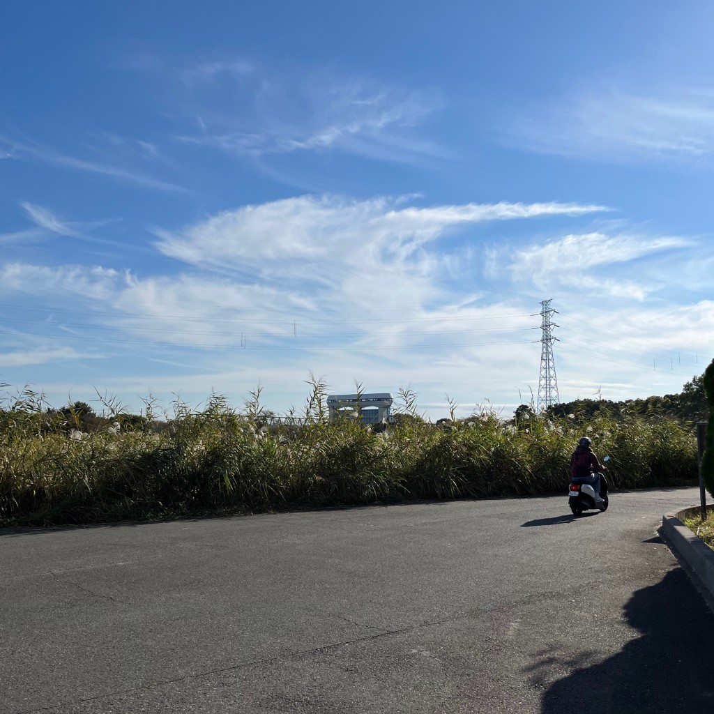 実際訪問したユーザーが直接撮影して投稿した田島公園桜草公園の写真