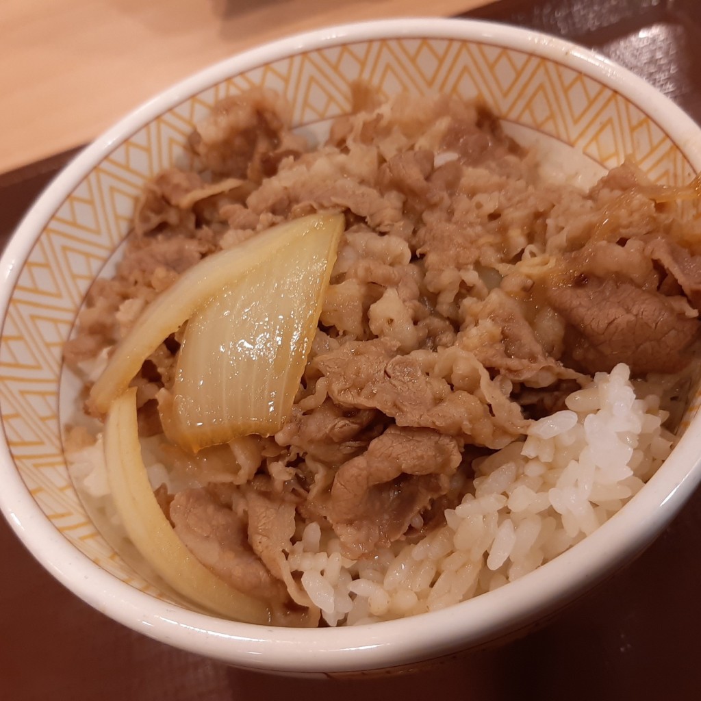 ユーザーが投稿した牛丼並の写真 - 実際訪問したユーザーが直接撮影して投稿した黒土町牛丼すき家 堺黒土店の写真