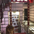 鍋包肉 - 実際訪問したユーザーが直接撮影して投稿した池袋中華料理京華閣の写真のメニュー情報