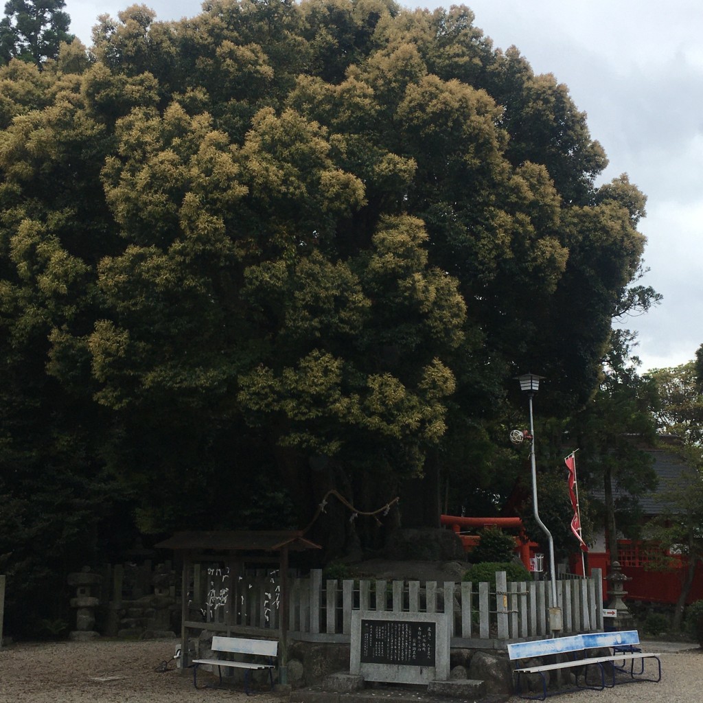 実際訪問したユーザーが直接撮影して投稿した大宮町神社志氏神社の写真