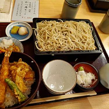 実際訪問したユーザーが直接撮影して投稿した京橋そば京橋 紅葉川の写真