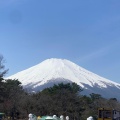 実際訪問したユーザーが直接撮影して投稿した湖沼 / 池山中湖の写真