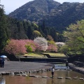 実際訪問したユーザーが直接撮影して投稿した南濃町羽沢公園羽根谷だんだん公園の写真