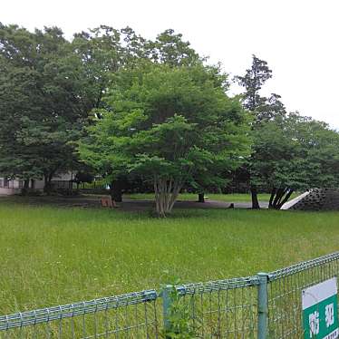 実際訪問したユーザーが直接撮影して投稿した菅稲田堤公園稲田公園の写真