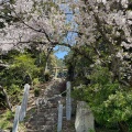 実際訪問したユーザーが直接撮影して投稿した祇園神社新羅神社の写真