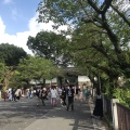 実際訪問したユーザーが直接撮影して投稿した北の丸公園公園北の丸公園の写真