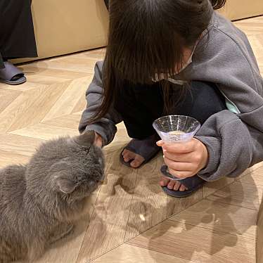 猫カフェ MOCHA イオンモール岡山店のundefinedに実際訪問訪問したユーザーunknownさんが新しく投稿した新着口コミの写真