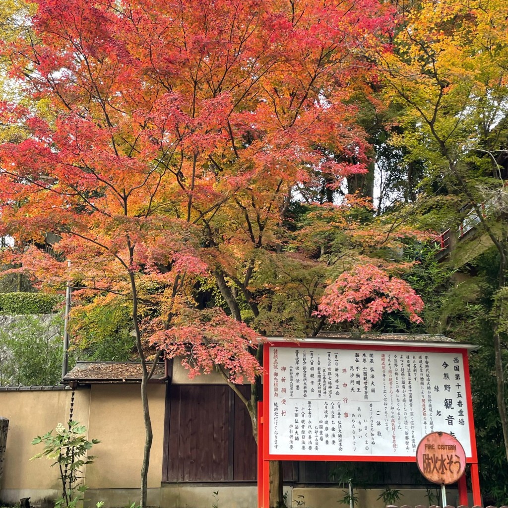 ねこたろさんが投稿した泉涌寺山内町寺のお店今熊野観音寺/イマグマノカンノンジの写真