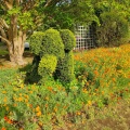 実際訪問したユーザーが直接撮影して投稿した清水植物園 / 樹木園清水公園花ファンタジアの写真